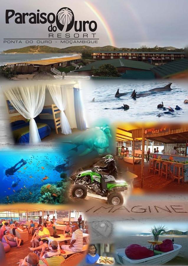 Paraiso Do Ouro Beach Front Resort Budget Accommodation Понта-ду-Оуро Экстерьер фото